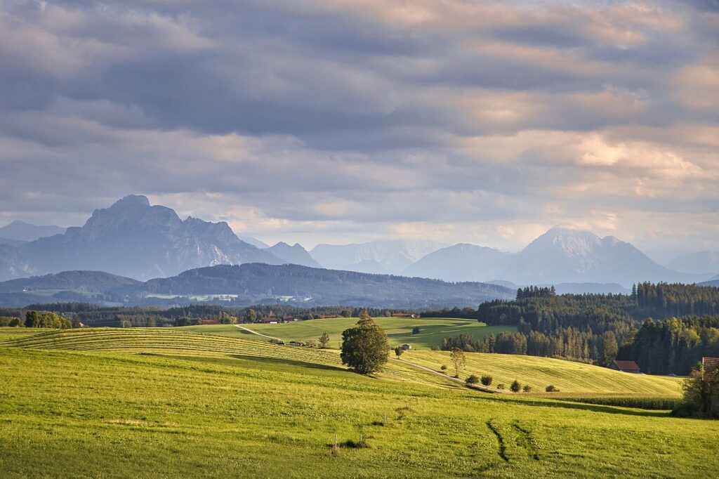 fields, mountains, alps-6654366.jpg